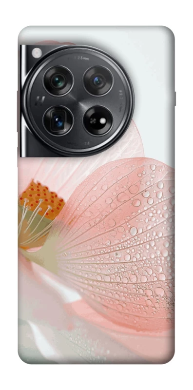 Чохол на OnePlus 12 Flowers zon фото 1 з 1