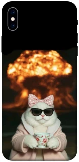 Чохол на Apple iPhone XS Max (6.5") Exploding Kittens ver.2 фото 1 з 1