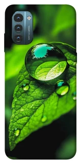 Чохол на Nokia G21 Flowers v16 фото 1 з 1