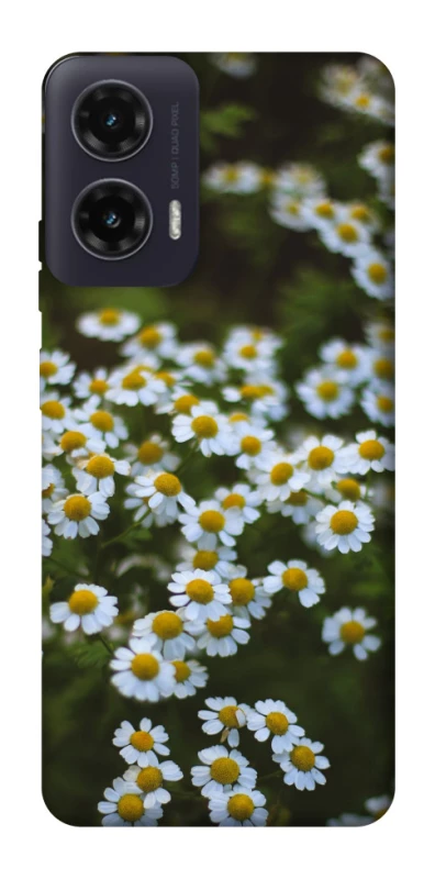 Чохол на Motorola Moto G35 Ромашки v13 фото 1 з 1