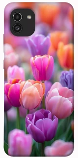 Чохол на Samsung Galaxy A03 Тюльпанове поле фото 1 з 1
