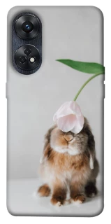 Чохол на Oppo Reno 8T 4G Bunny фото 1 з 1
