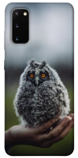 Чохол на Samsung Galaxy S20 Совеня фото 1 з 1