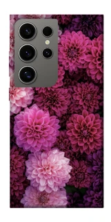 Чехол на Samsung Galaxy S24 Ultra Garden1 фото 1 из 1