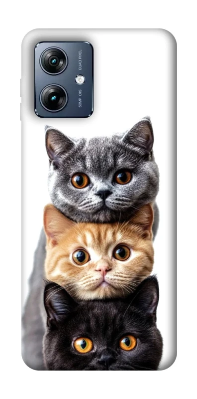 Чохол на Motorola Moto G54 Power Гарні котики фото 1 з 1