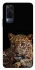 Чехол на Vivo Y53s Leopard v4 фото 1 из 1