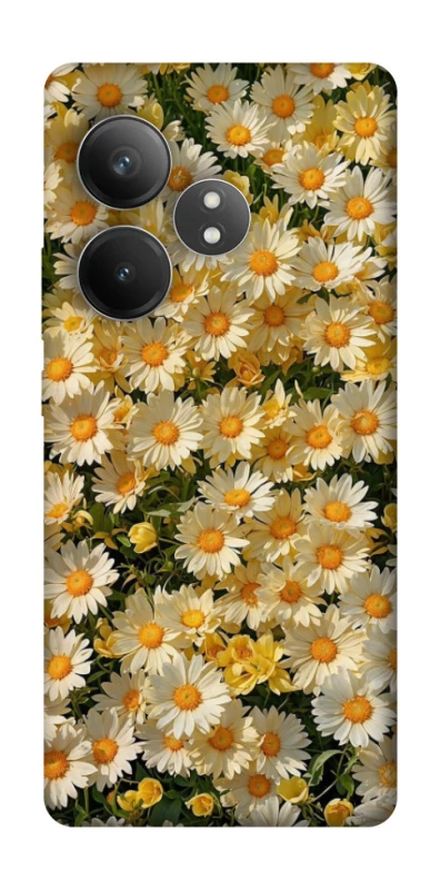 Чохол на Realme GT Neo 6 Camomile фото 1 з 1