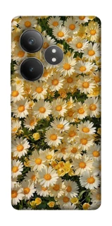 Чохол на Realme GT Neo 6 Camomile фото 1 з 1