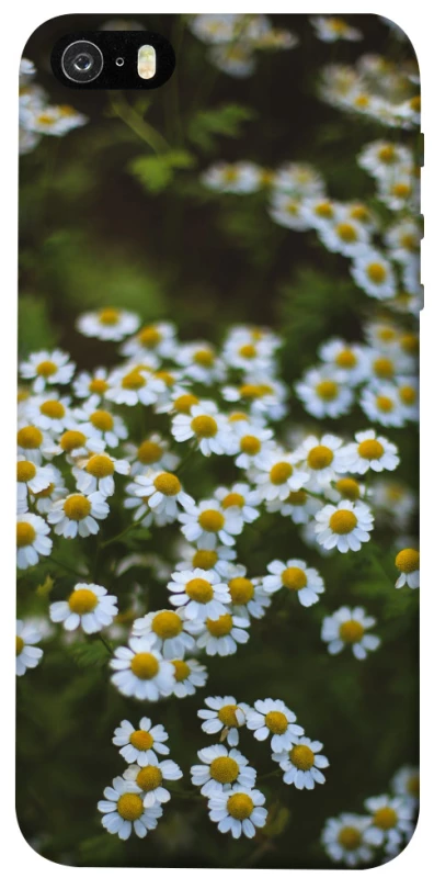 Чехол на Apple iPhone 5/5S/SE Ромашки v13 фото 1 из 1