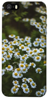 Чехол на Apple iPhone 5/5S/SE Ромашки v13 фото 1 из 1