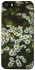 Чехол на Apple iPhone 5/5S/SE Ромашки v13 фото 1 из 1