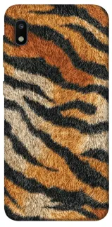 Чехол на Samsung Galaxy A10 (A105F) Tiger фото 1 из 1
