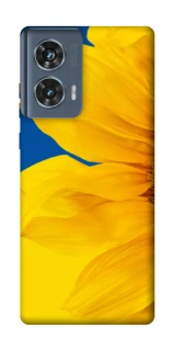 Чехол на Motorola Edge 50 Sunflower фото 1 из 1