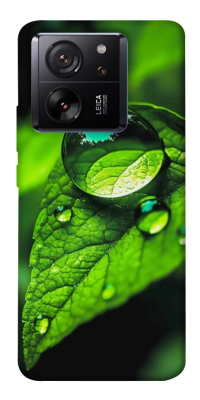 Чохол на Xiaomi 13T Flowers v16 фото 1 з 1