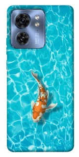 Чехол на Motorola Edge 40 Fish фото 1 из 1