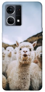 Чохол на Oppo Reno 7 4G Лама фото 1 з 1