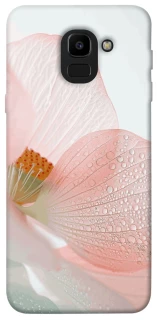 Чохол на Samsung J600F Galaxy J6 (2018) Flowers zon фото 1 Чохол на Samsung J600F Galaxy J6 (2018) Flowers zon фото 1 з 1
