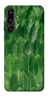 Чехол на Samsung Galaxy F16 Листья фото 1 из 1