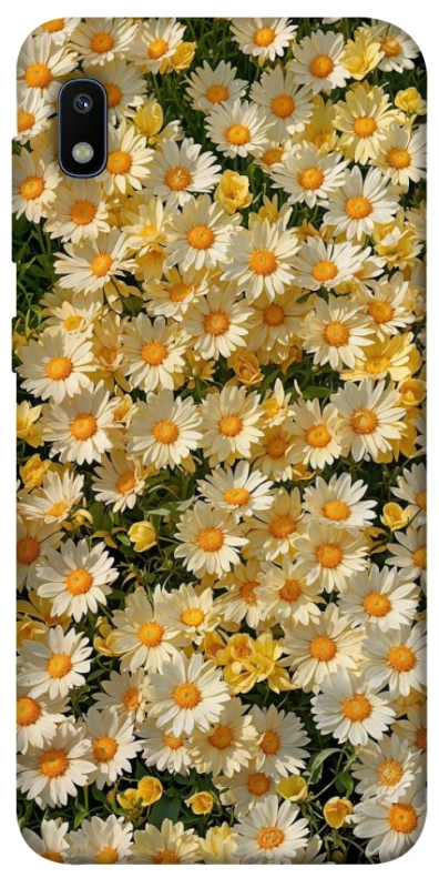 Чохол на Samsung Galaxy A10 (A105F) Camomile фото 1 з 1