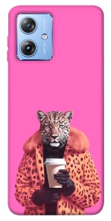 Чохол на Motorola Moto G84 Леопард з кавою фото 1 з 1