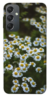 Чехол на Samsung Galaxy A24 4G Ромашки v13 фото 1 из 1