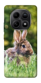 Чехол на Xiaomi Redmi Note 15 5G Кролики фото 1 из 1