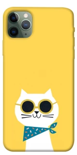 Чехол на Apple iPhone 11 Pro Max (6.5") Кот-муркот фото 1 из 1