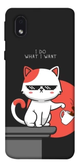 Чохол на Samsung Galaxy M01 Core / A01 Core I do what i wont фото 1 з 1