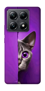 Чехол на Xiaomi 14T Pro Кот-подглядыватель фото 1 из 1