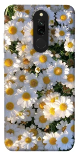 Чохол на Xiaomi Redmi 8 Поле ромашок фото 1 з 1