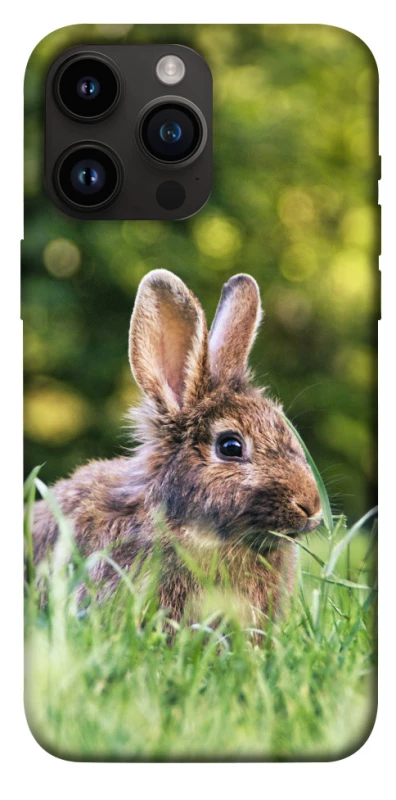 Чехол на Apple iPhone 14 Pro Max (6.7") Кролики фото 1 из 1