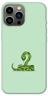 Чохол на Apple iPhone 12 Pro Max (6.7") Змійка фото 1 з 1