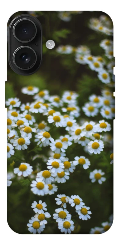 Чехол на Apple iPhone 17 (6.3") Ромашки v13 фото 1 из 1
