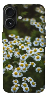 Чехол на Apple iPhone 17 (6.3") Ромашки v13 фото 1 из 1