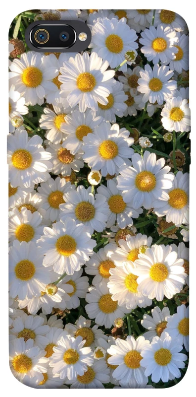 Чехол на Realme C2 Поле ромашек фото 1 из 1