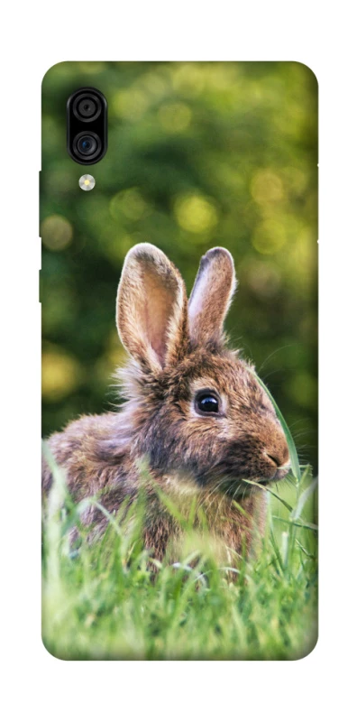 Чохол на ZTE Blade A5 (2020) Кролики фото 1 з 1