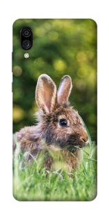 Чохол на ZTE Blade A5 (2020) Кролики фото 1 з 1