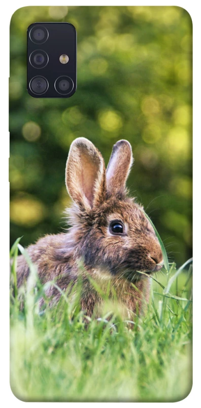 Чехол на Samsung Galaxy A51 Кролики фото 1 из 1