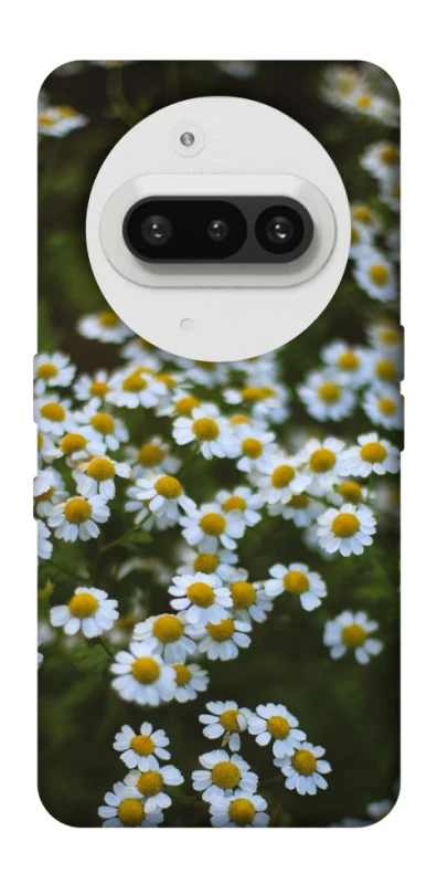 Чехол на Nothing Phone (3a) Ромашки v13 фото 1 из 1