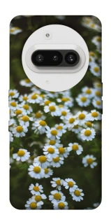 Чехол на Nothing Phone (3a) Ромашки v13 фото 1 из 1