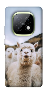 Чохол на Realme Narzo 70 Turbo Лама фото 1 з 1