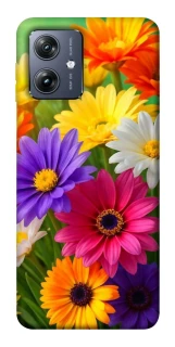 Чохол на Motorola Moto G54 Flowers v32 фото 1 Чохол на Motorola Moto G54 Flowers v32 фото 1 з 1