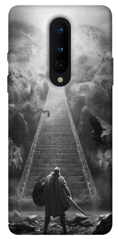 Чохол на OnePlus 8 Valhalla фото 1 з 1