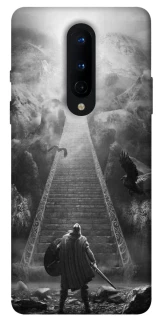 Чохол на OnePlus 8 Valhalla фото 1 з 1