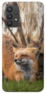 Чехол на Samsung Galaxy A32 (A325F) 4G Лиса фото 1 из 1