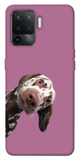 Чехол на Oppo Reno 5 Lite А что тут фото 1 из 1