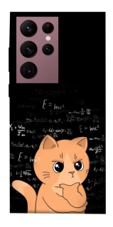 Чохол на Samsung Galaxy S22 Ultra Smart cat фото 1 з 1