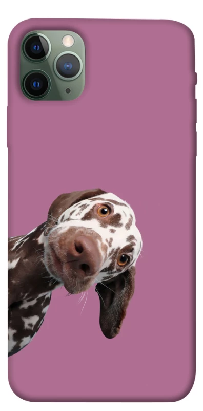 Чохол на Apple iPhone 11 Pro Max (6.5") А що тут фото 1 з 1