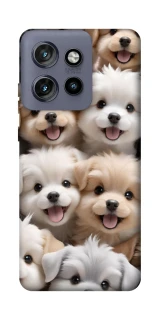 Чехол на Motorola Edge 50 Neo Doggy Love фото 1 из 1