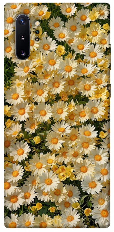 Чохол на Samsung Galaxy Note 10 Plus Camomile фото 1 з 1
